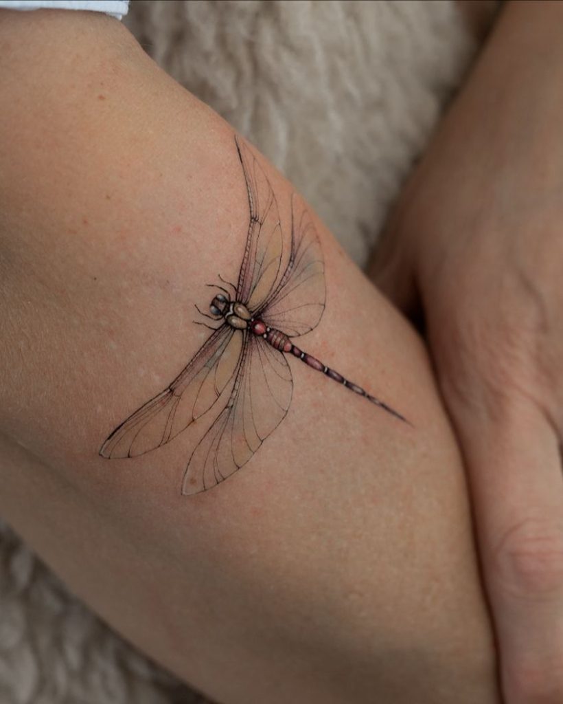 Realistic Dragonfly Tattoo on Arm