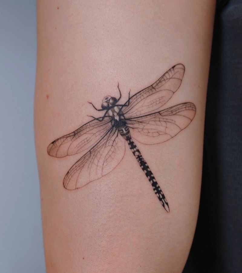 dragonfly-tattoo-with-details