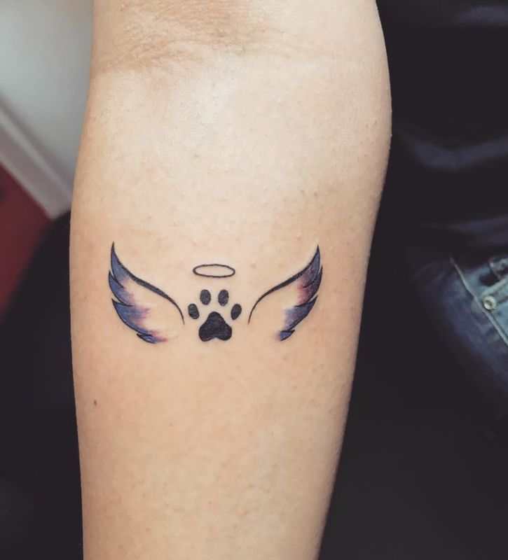 paw-with-wings-small-pet-tattoo-design-ideas