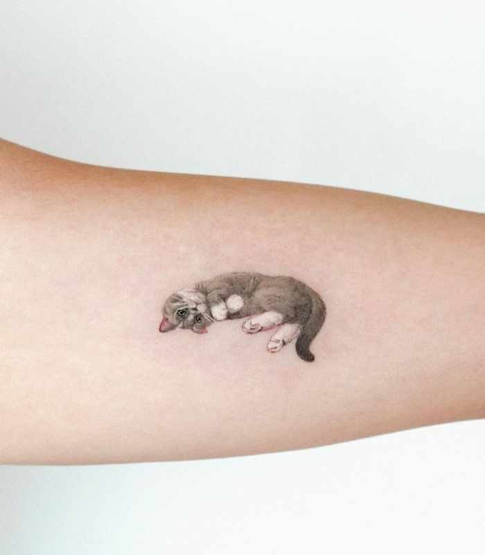 small-cat-pet-tattoo