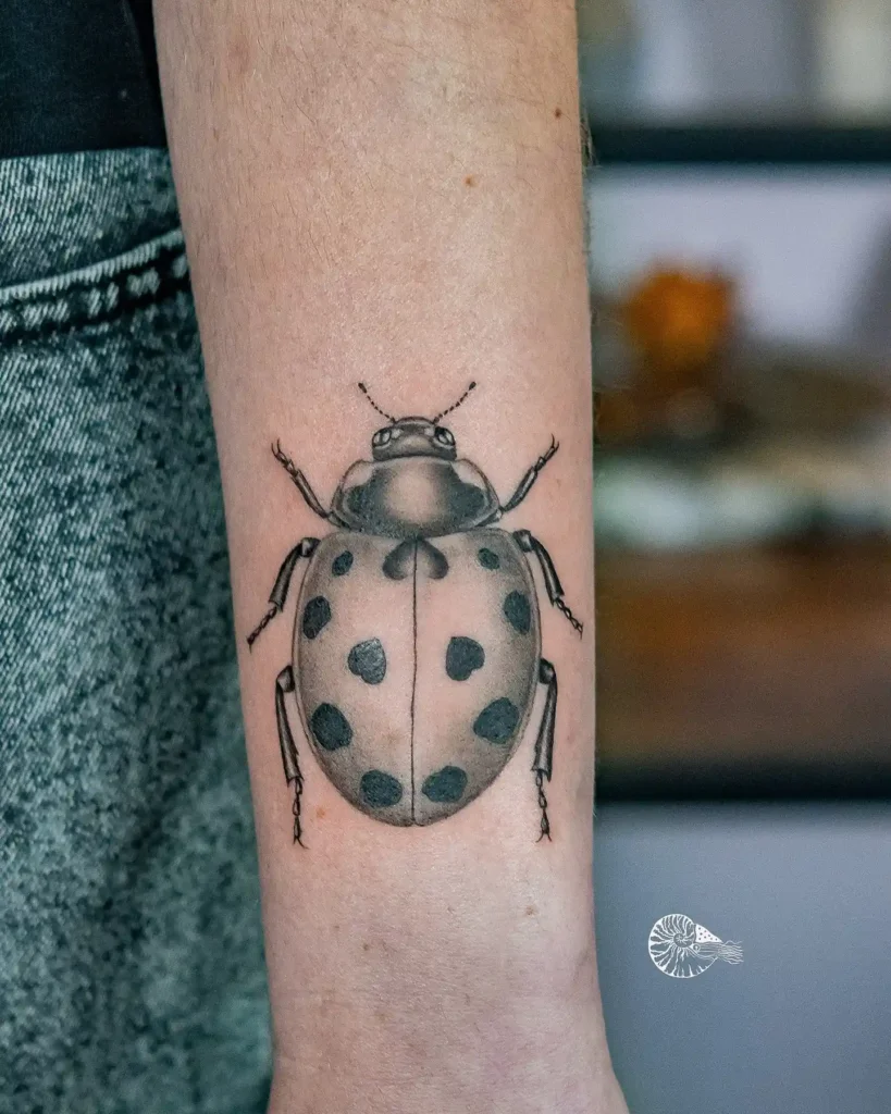 Ladybug Tattoo Design