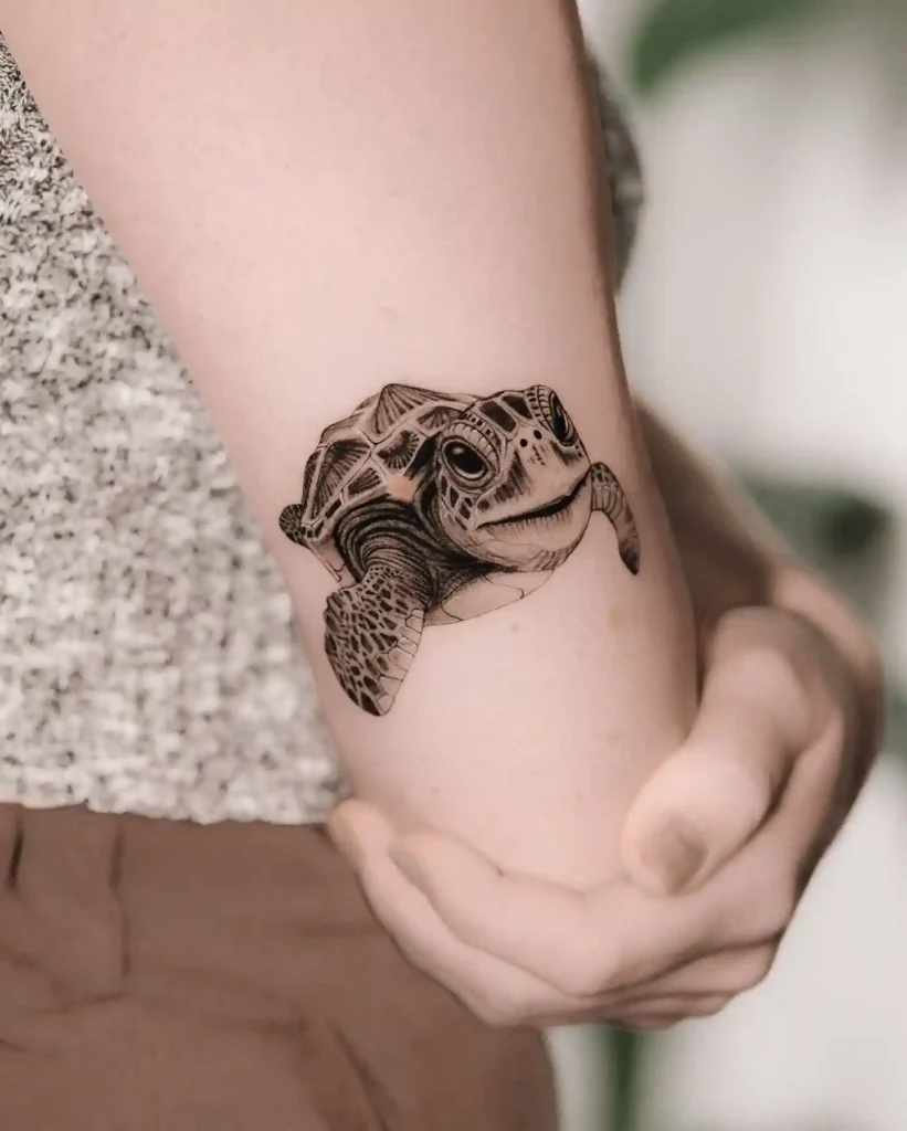 Turtle Tattoo Designs