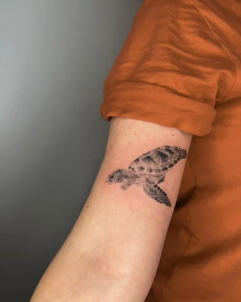 Turtle Tattoo Designs