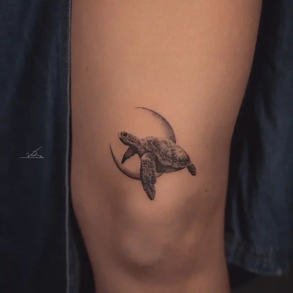 Turtle Tattoo Designs