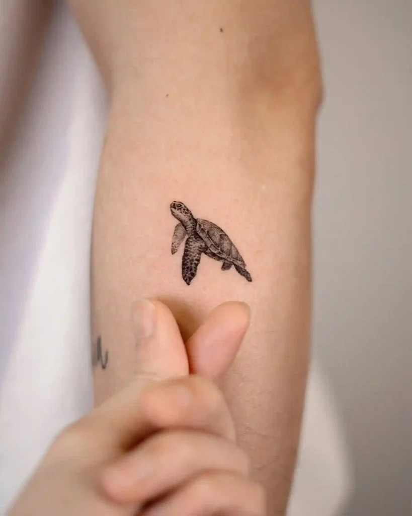Turtle Tattoo Designs