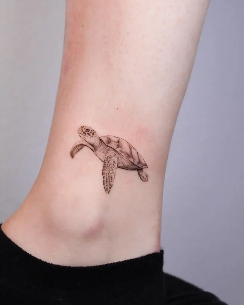Turtle Tattoo Designs