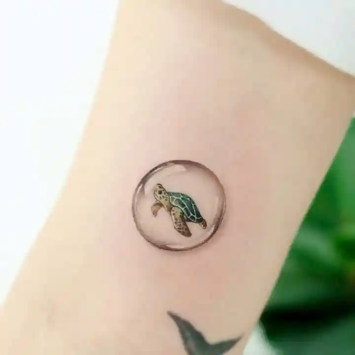 Turtle Tattoo Designs