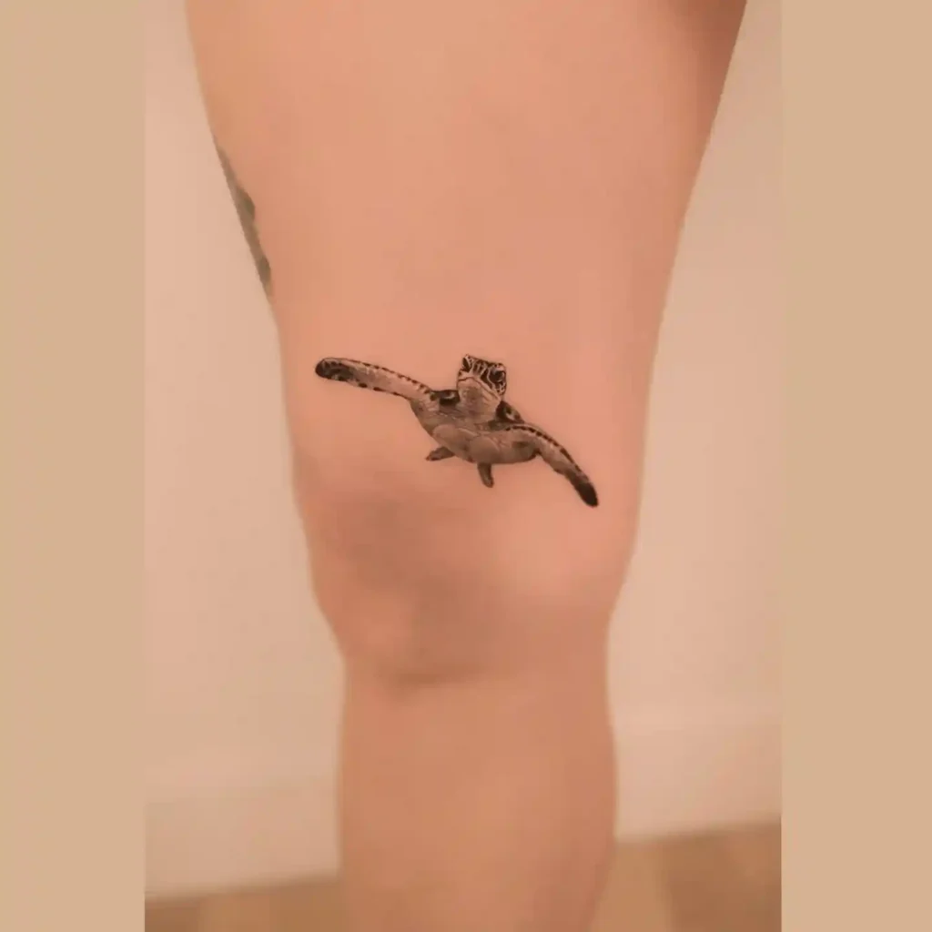 Turtle Tattoo Designs
