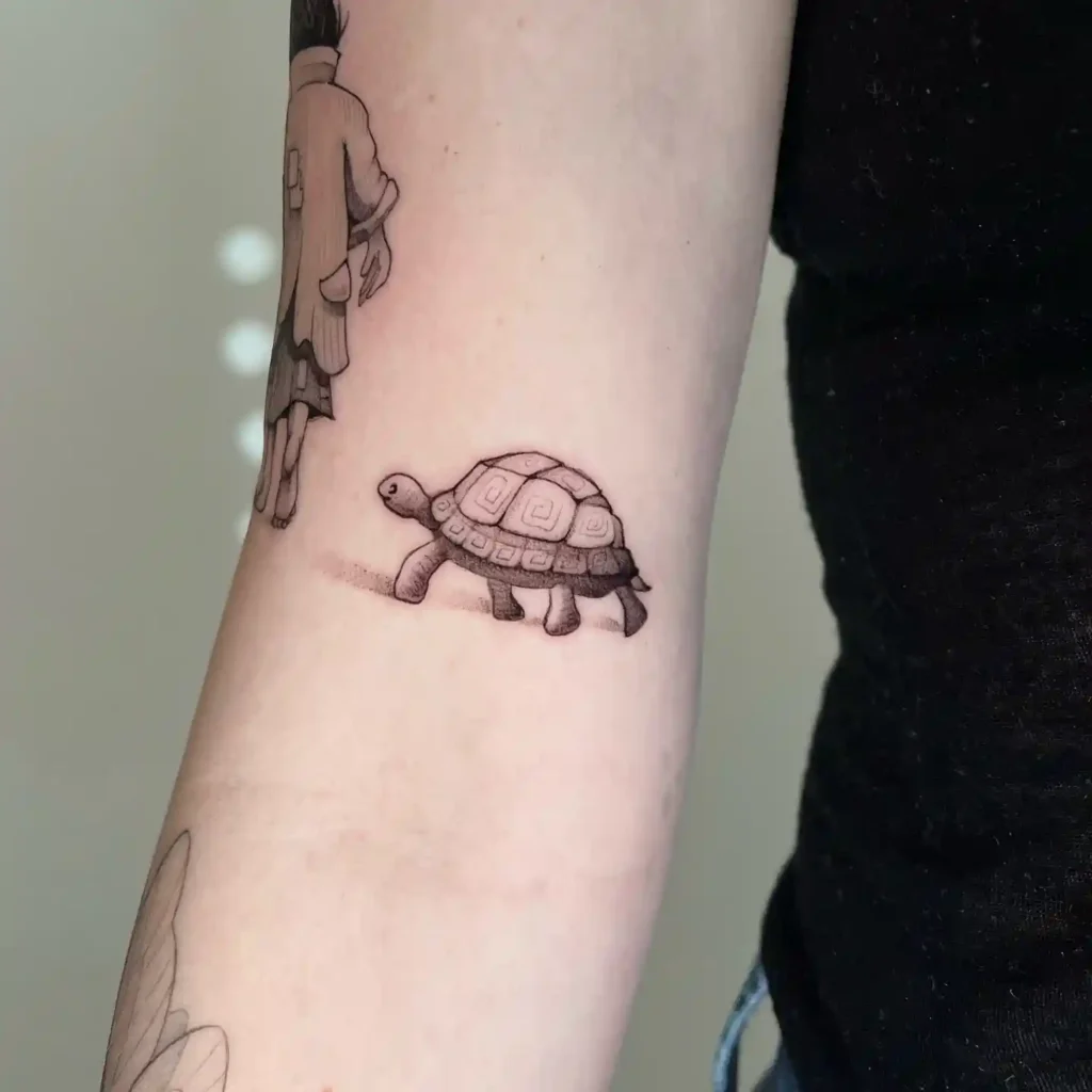 Turtle Tattoo Designs