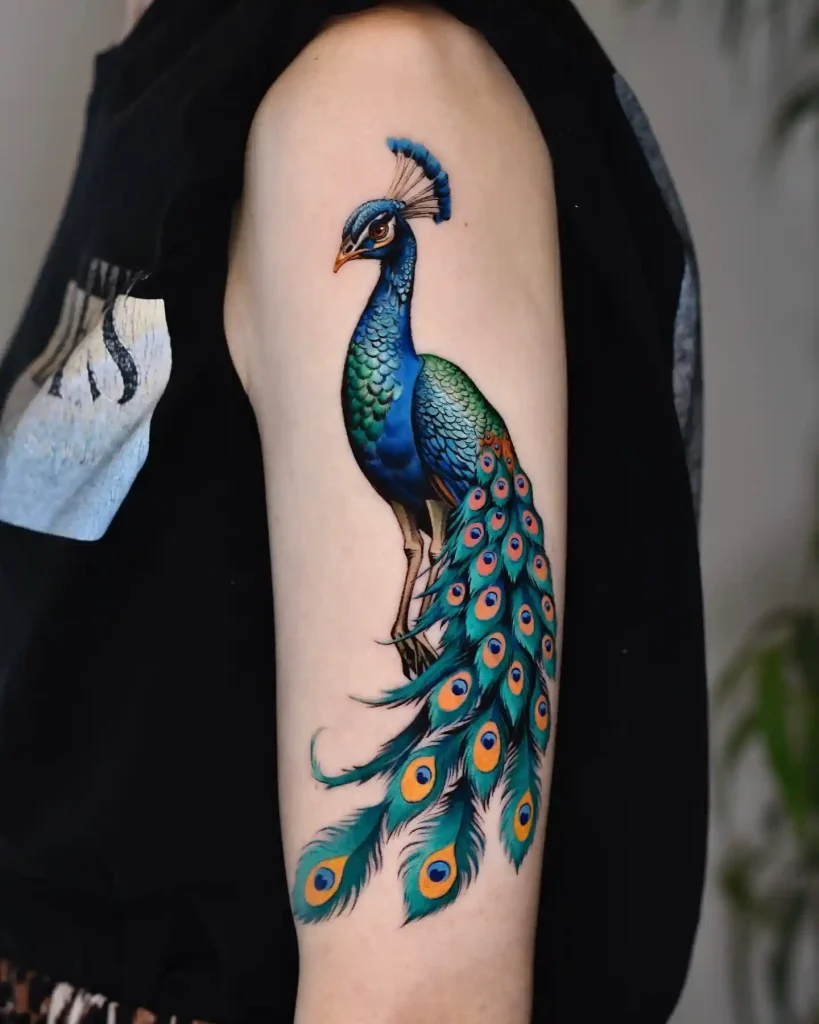 Vibrant Realistic Peacock Tattoo
