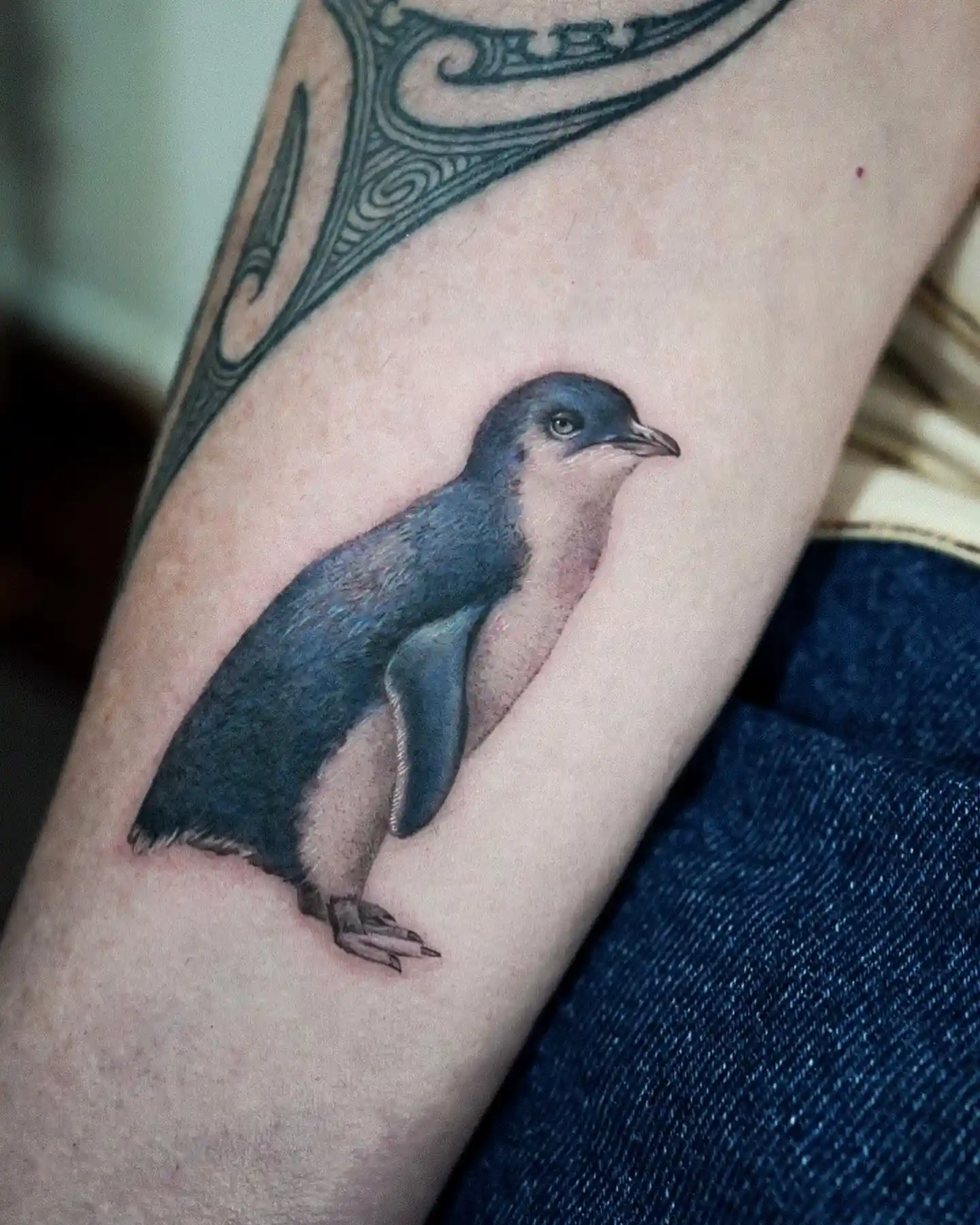 Realistic Little Blue Penguin Tattoo
