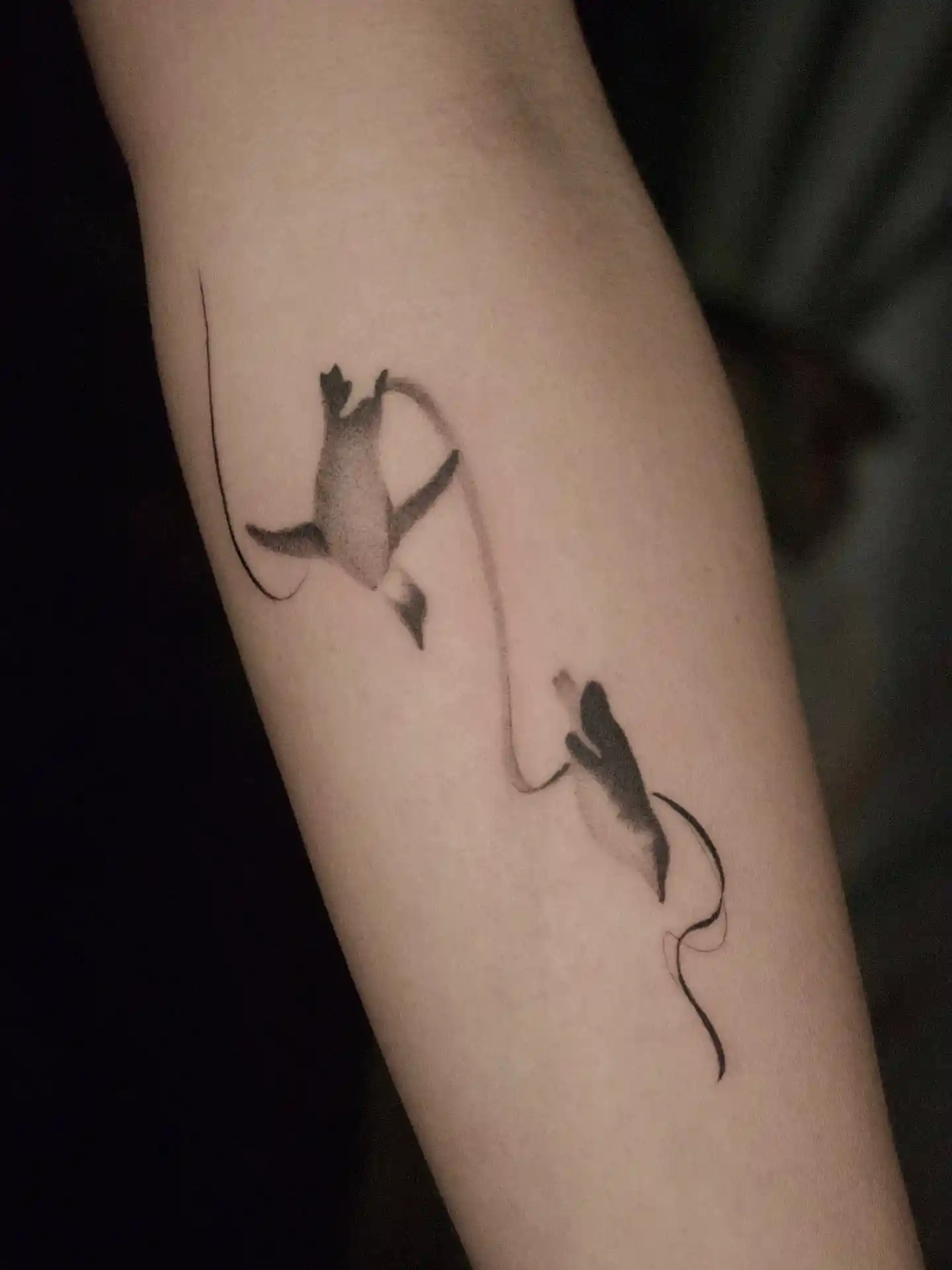 Swimming Penguins Tattoo in Ink Wash