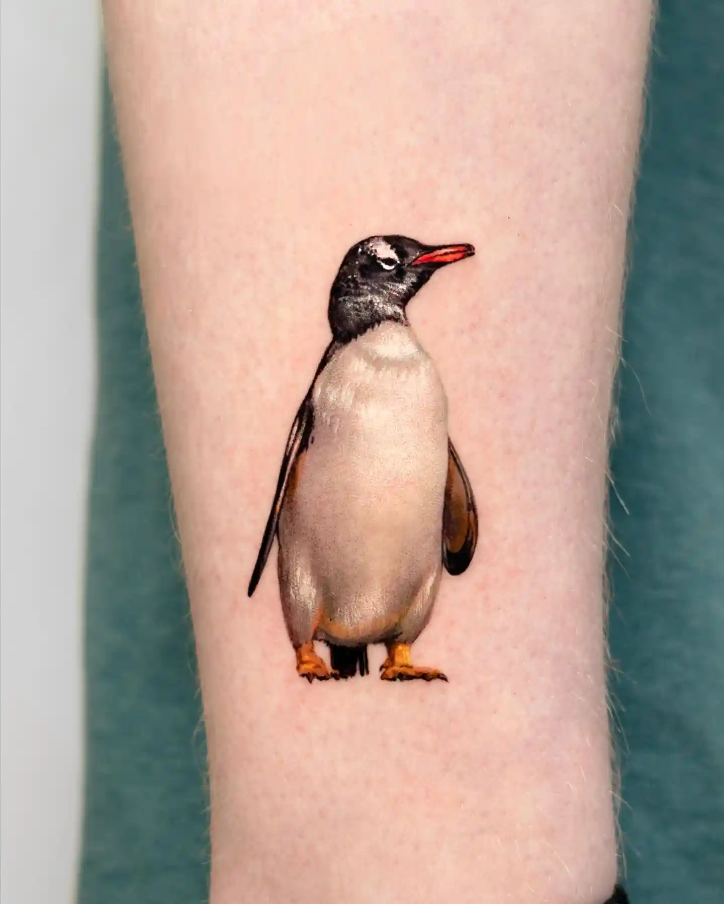 Photorealistic Gentoo Penguin Tattoo