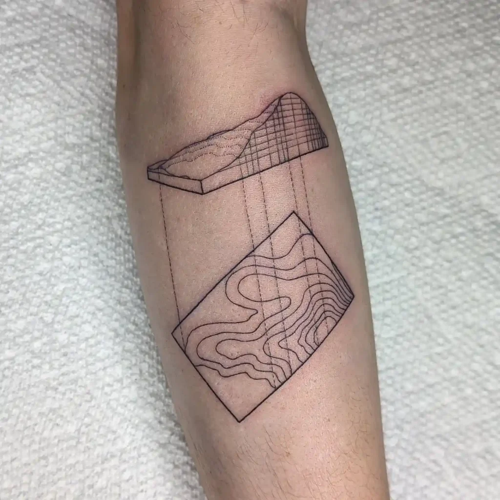 3D Topographic Projection on Calf
