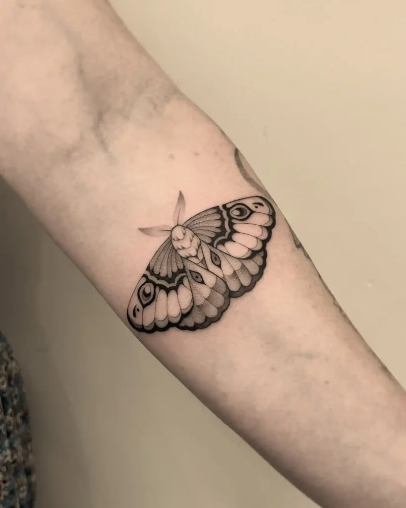 Black and Grey Moth on Inner Forearm