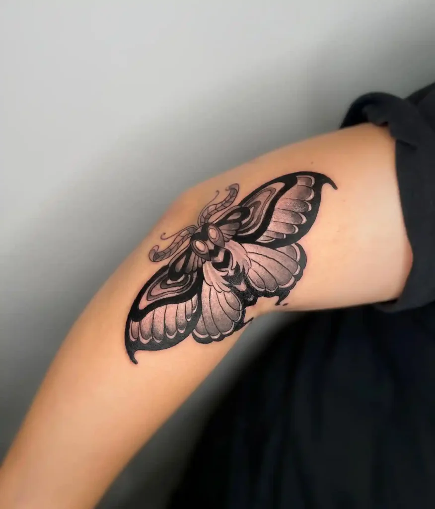 Bold Illustrative Moth on Inner Arm