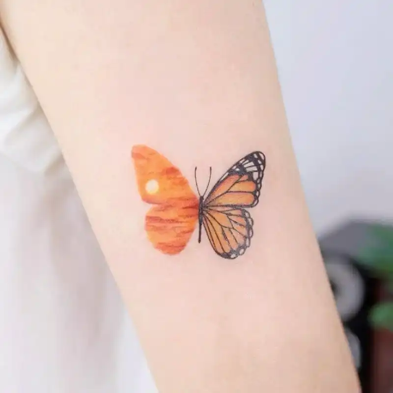 Creative Sunset & Butterfly Tattoo