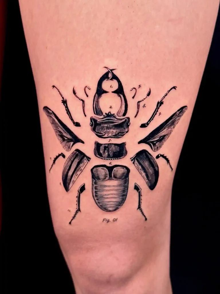 Deconstructed Anatomy Beetle on Thigh