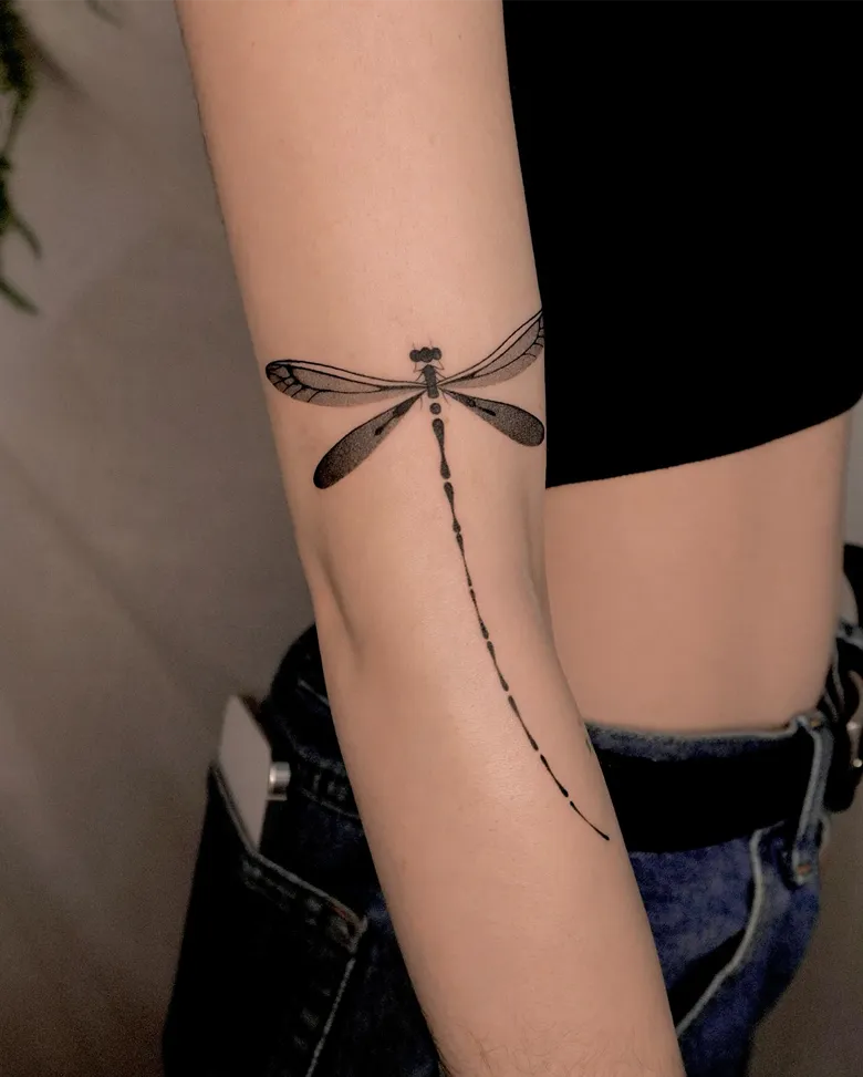 Dragonfly Flowing Along the Arm