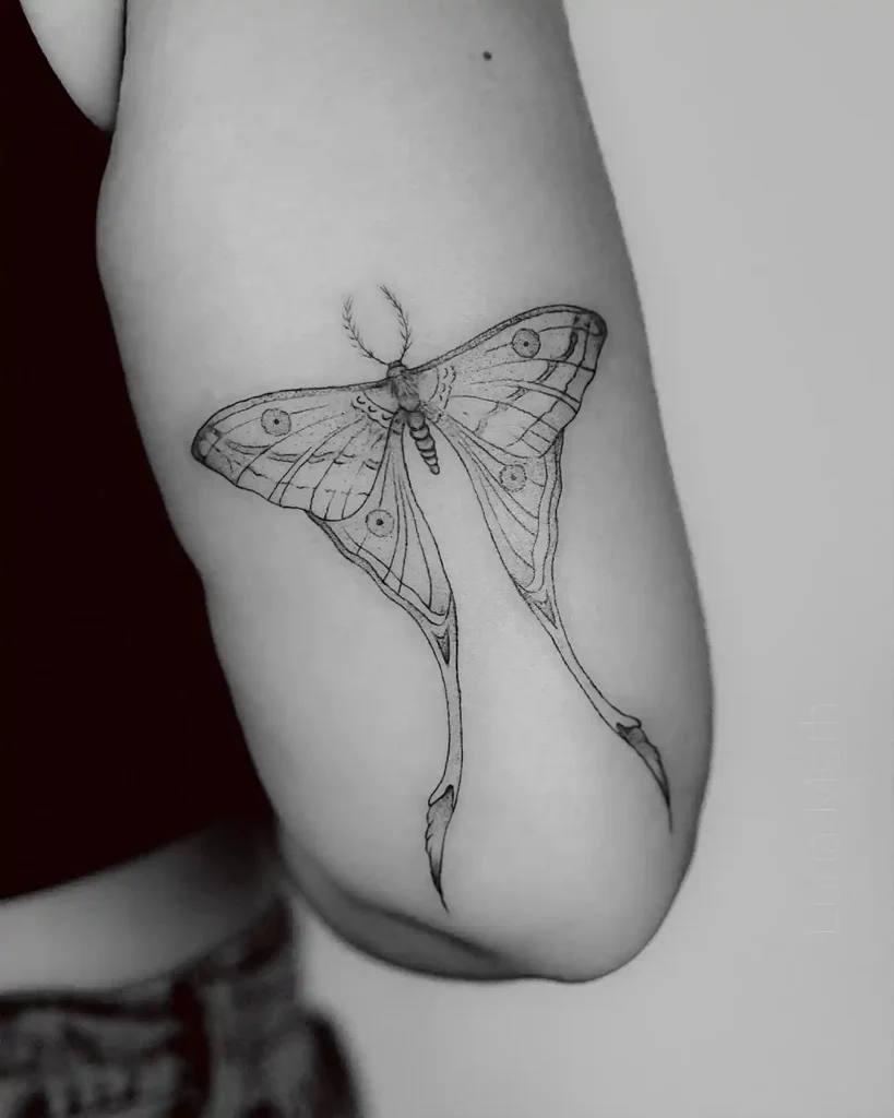 Fine Line Luna Moth on Back of Arm