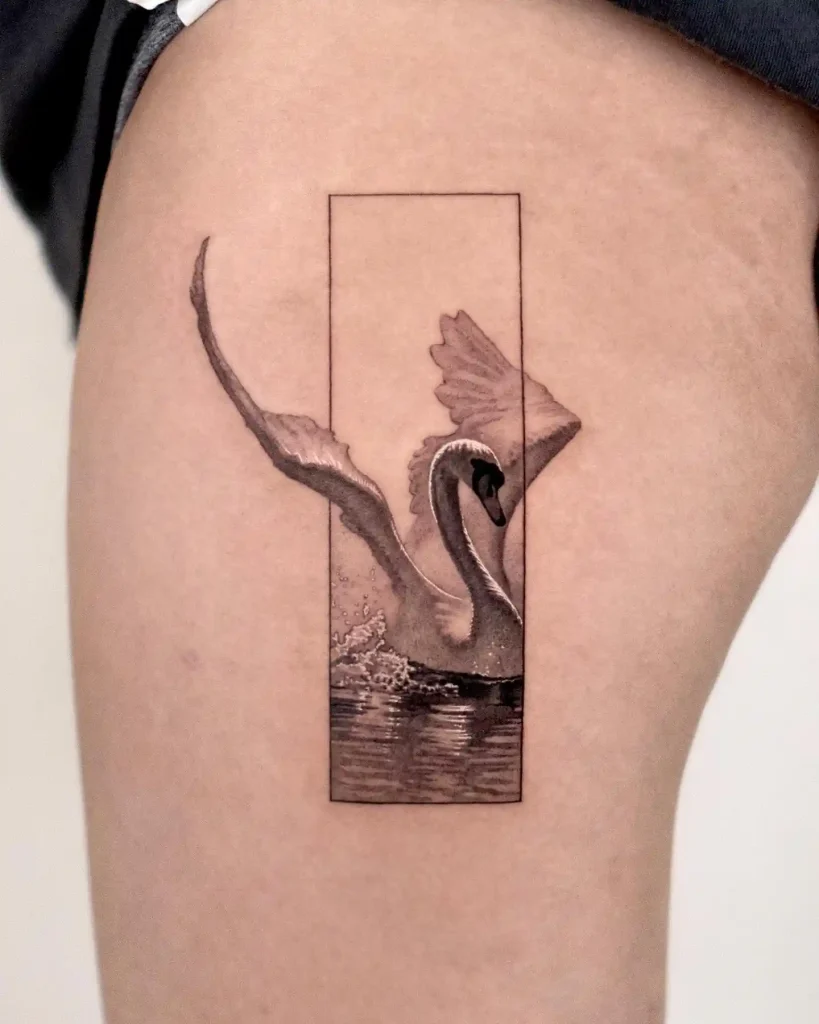 Framed Swan in Water on Thigh