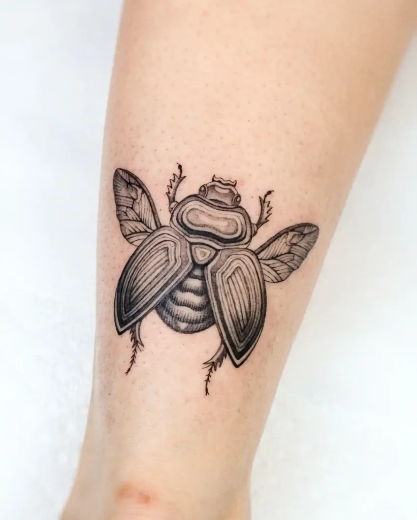 Geometric Shield Beetle on Leg
