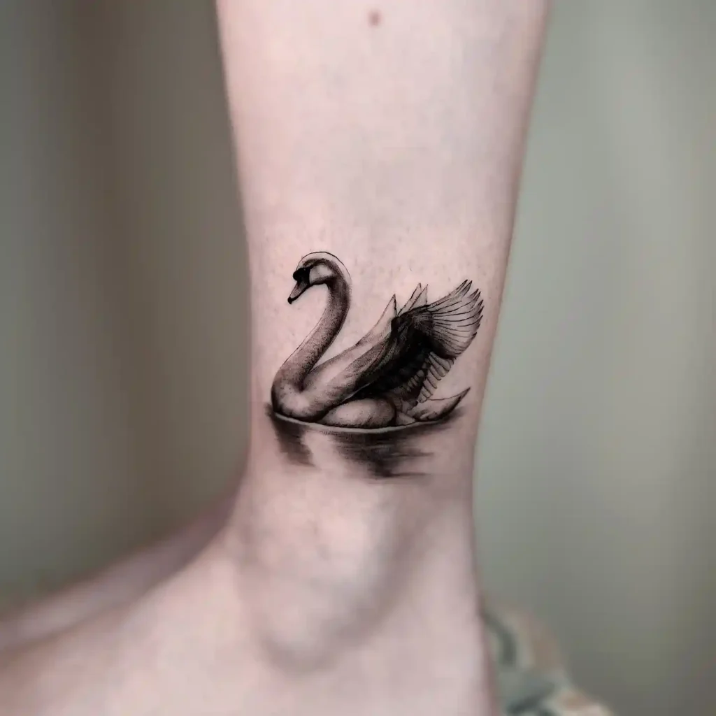 Graceful Swan with Reflection on Ankle