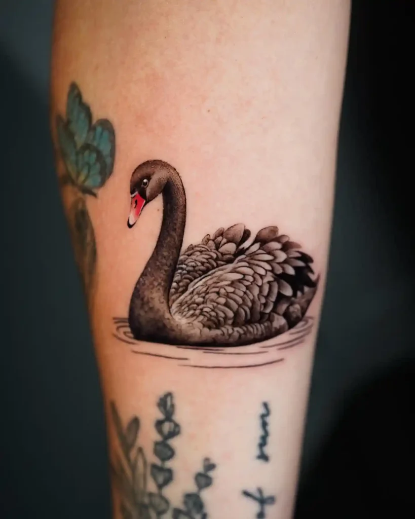 Majestic Black Swan on Forearm