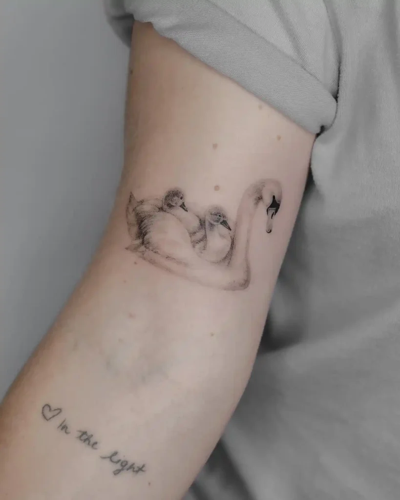 Minimalist Mother Swan and Cygnets on Inner Arm