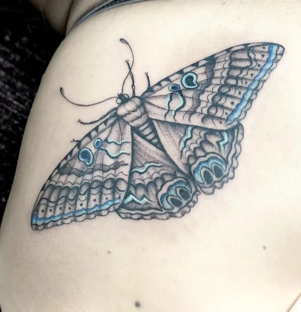 Patterned Moth with Blue Accents on Shoulder