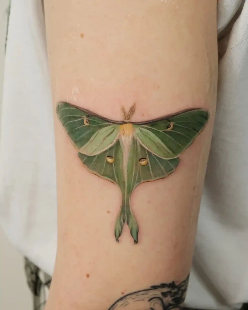 Realistic Luna Moth on Inner Arm