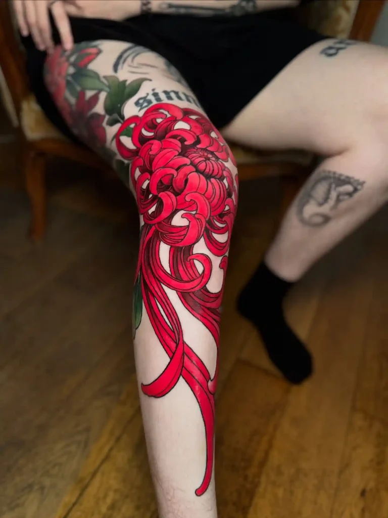 Red Chrysanthemum Flow on Knee