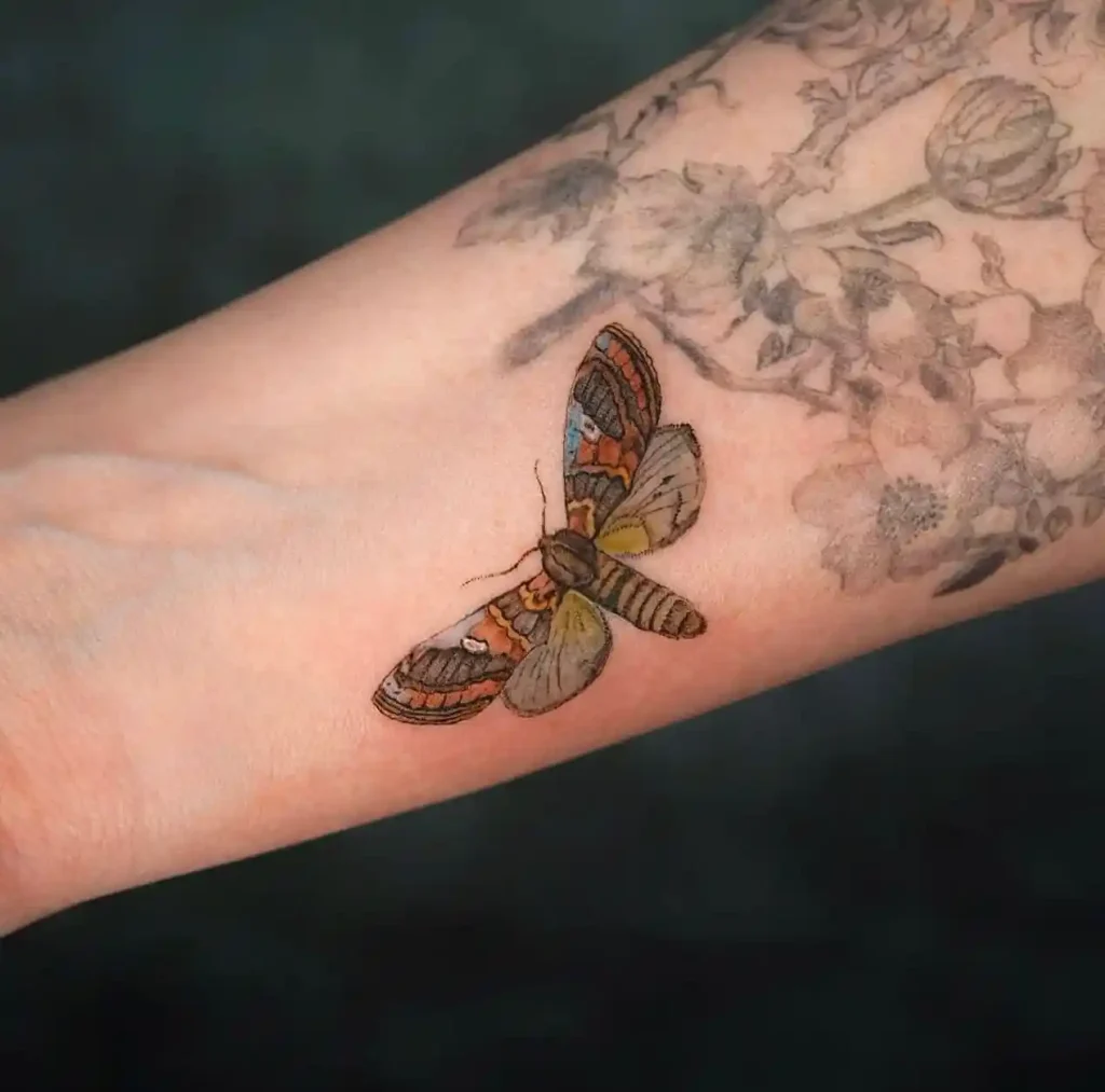 Small Realistic Colorful Moth on Forearm