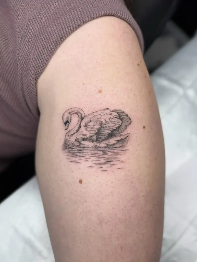 Small Realistic Swan on Upper Arm