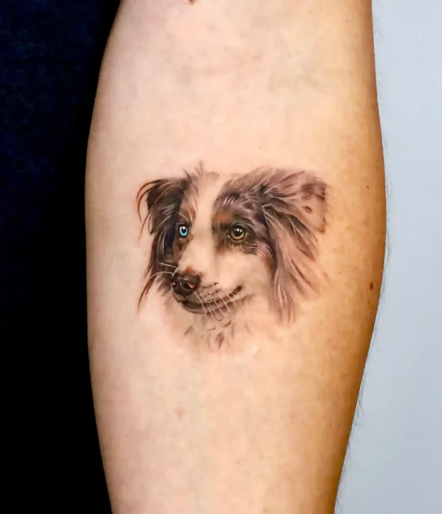 Australian Shepherd with Heterochromia on Inner Arm