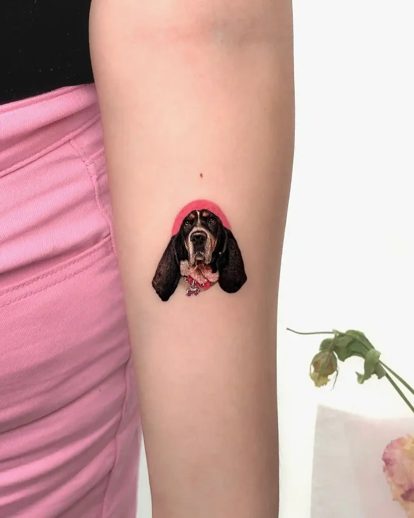 Basset Hound with Pink Halo on Upper Arm