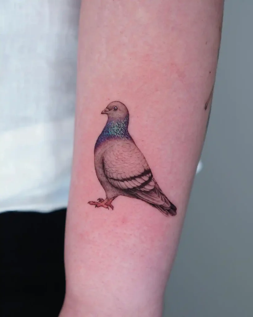 Detailed Greyscale Pigeon on Forearm