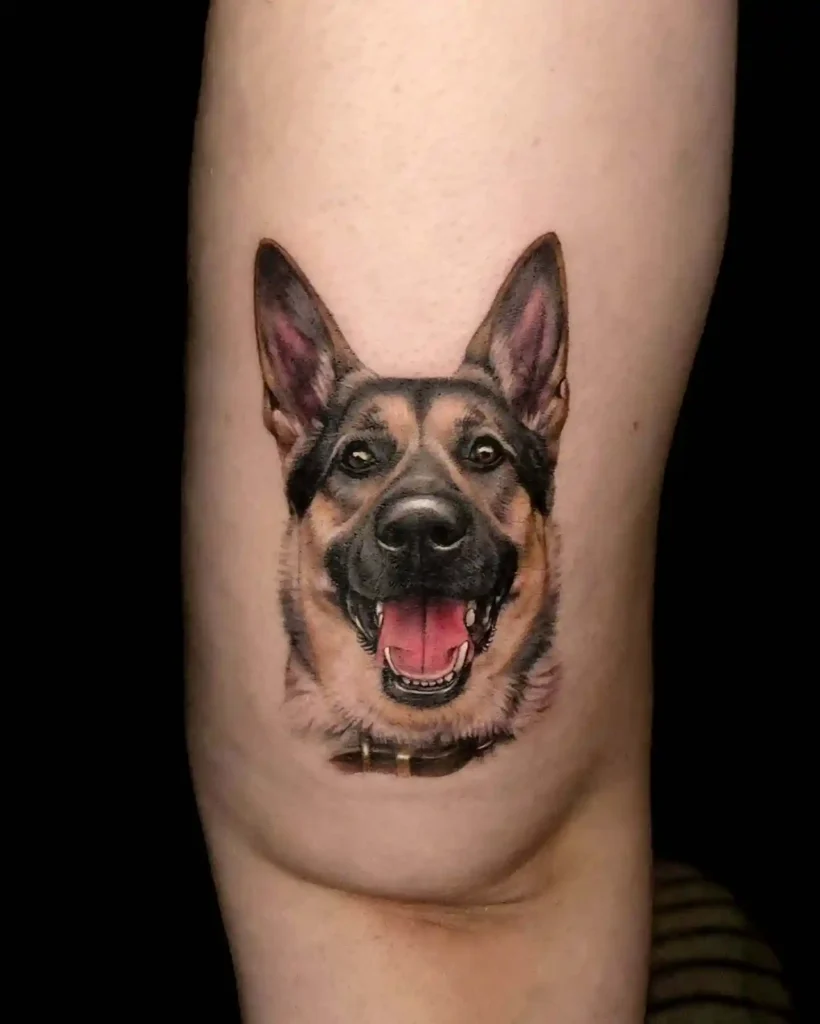 German Shepherd Portrait on Thigh