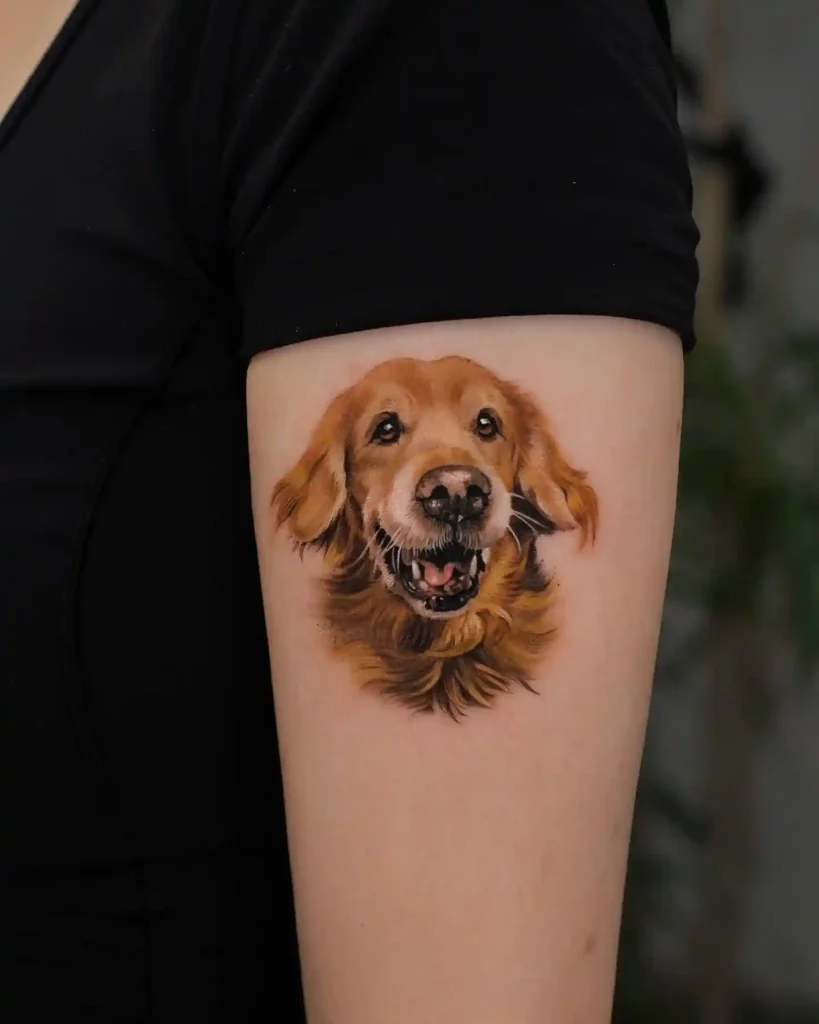 Golden Retriever Portrait on Upper Arm