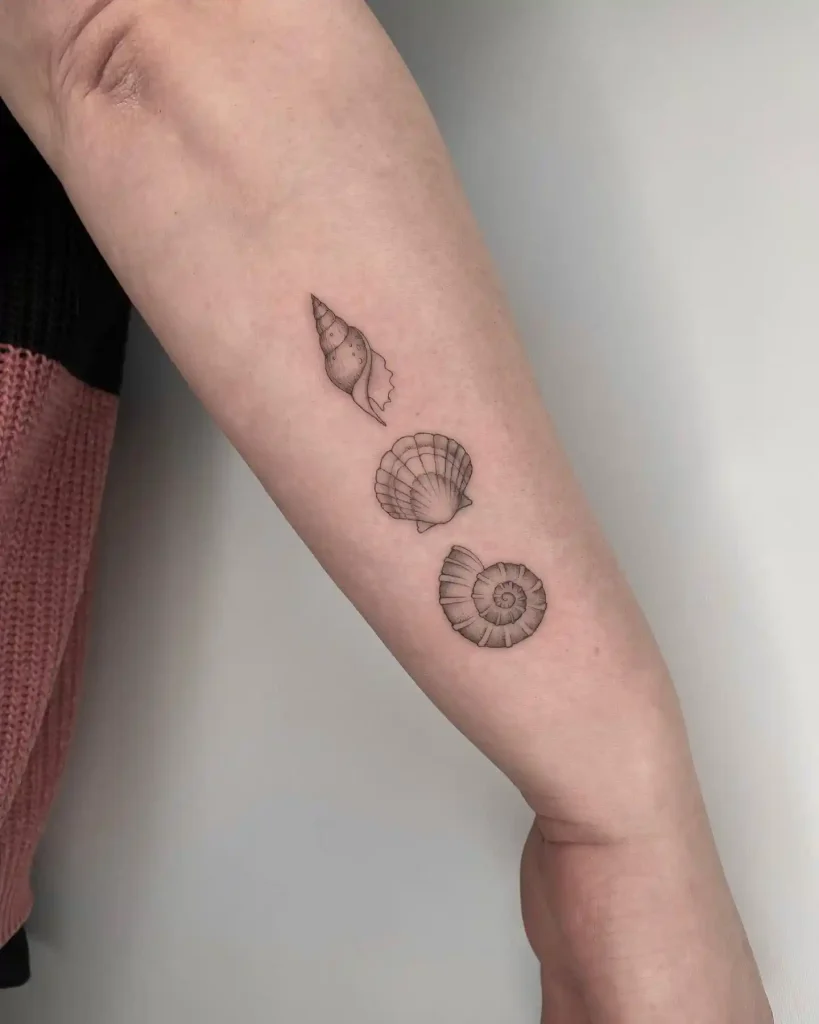 Minimalist Trio of Sea Shells on Forearm