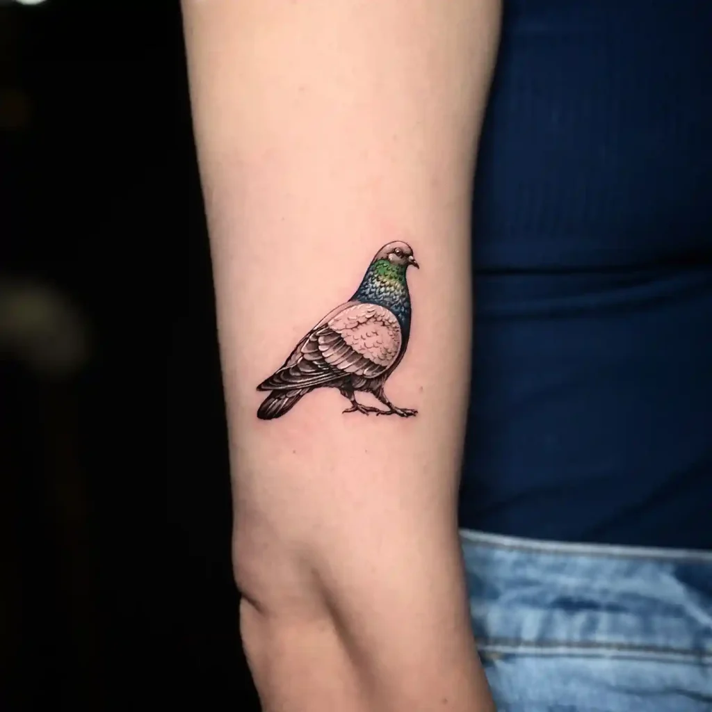 Modern Minimalist Pigeon on Inner Arm