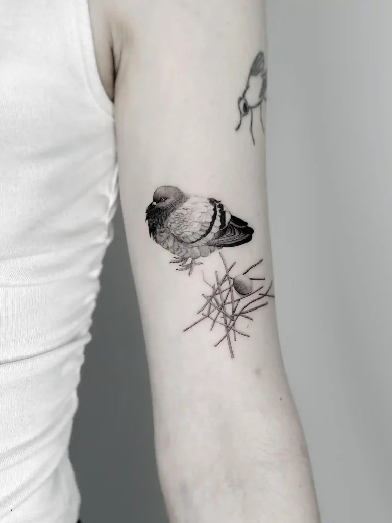 Pouting Pigeon with Nest on Upper Arm