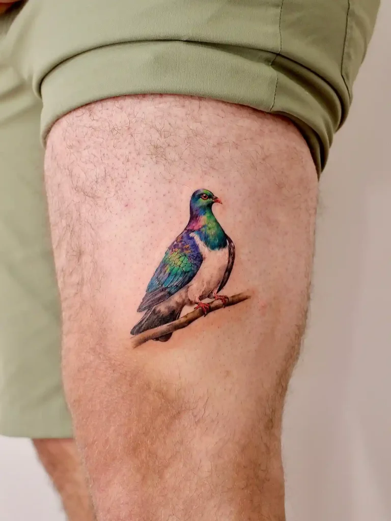 Radiant Perched Pigeon on Thigh