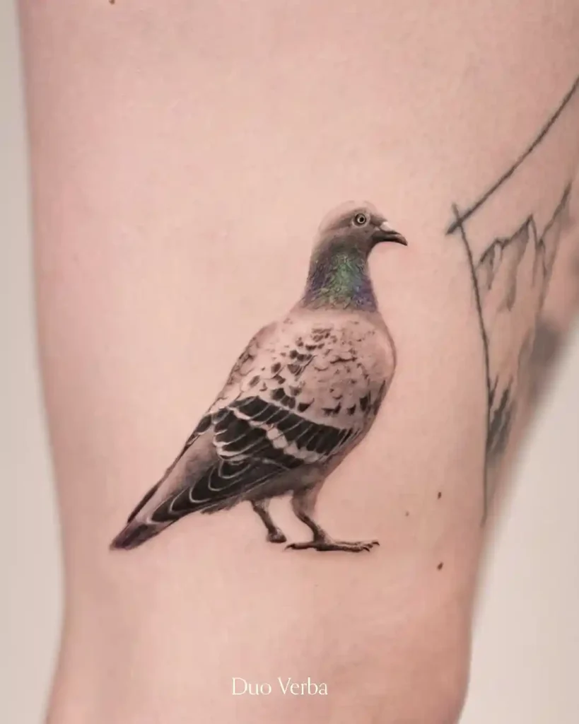 Realistic Urban Pigeon on Forearm