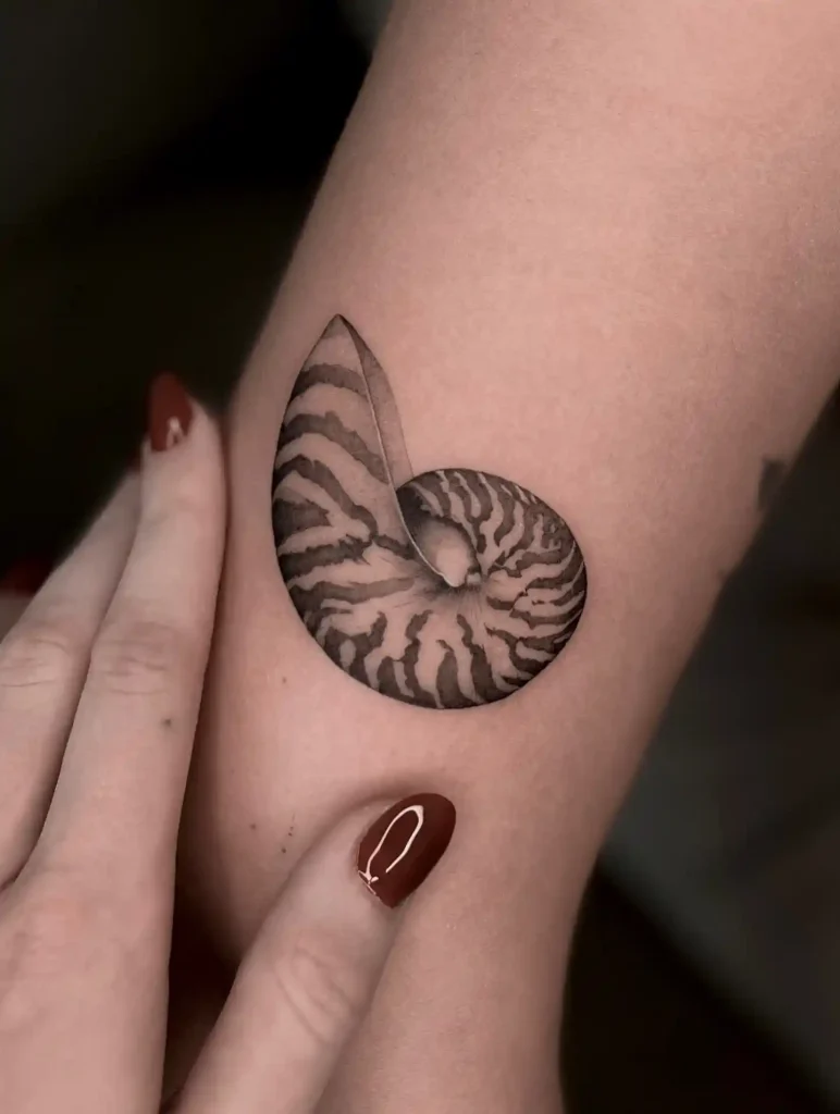 Striped Nautilus Spiral on Forearm