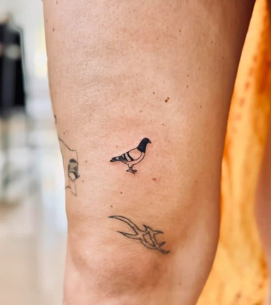 Tiny Minimalist Outlined Pigeon on Forearm