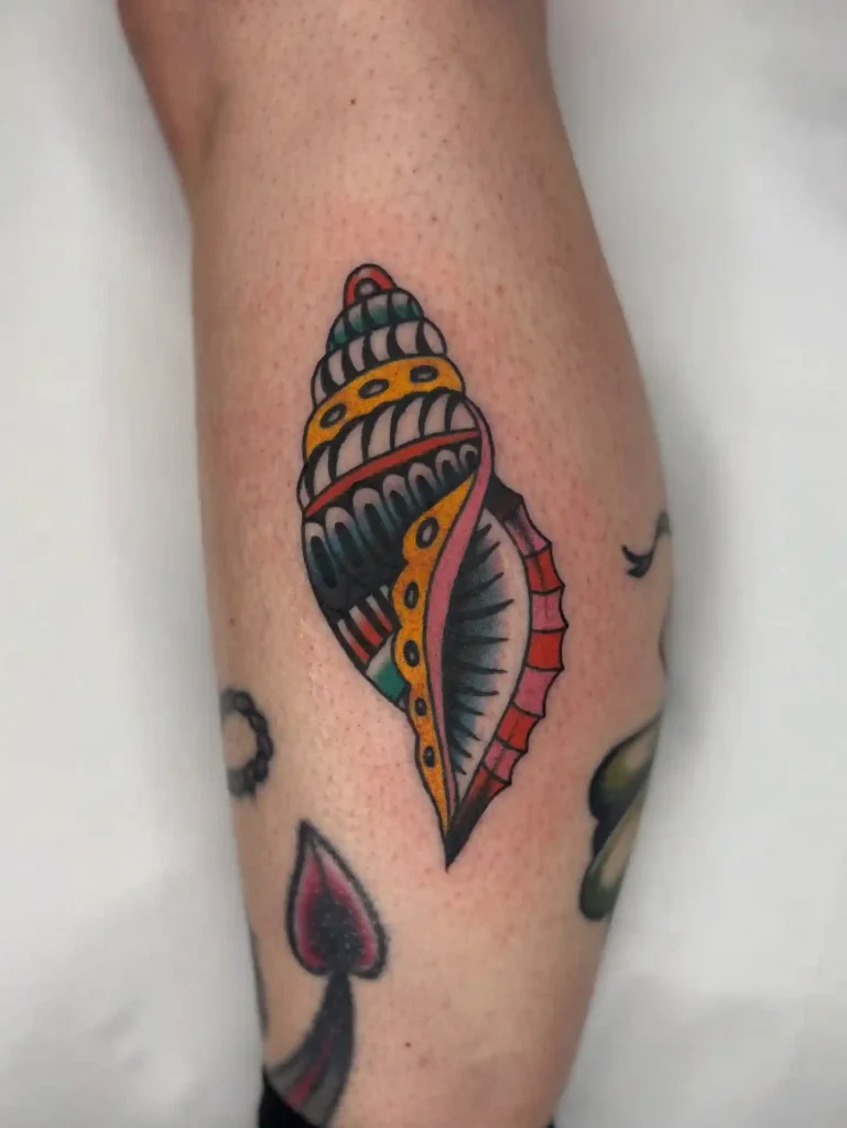 Traditional American Murex Shell on Calf