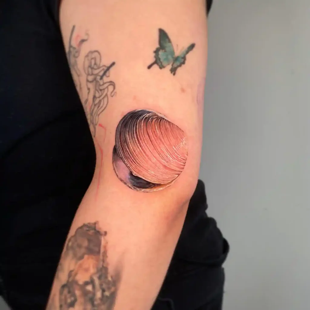 Warm Sunlit Clam Shell on Elbow