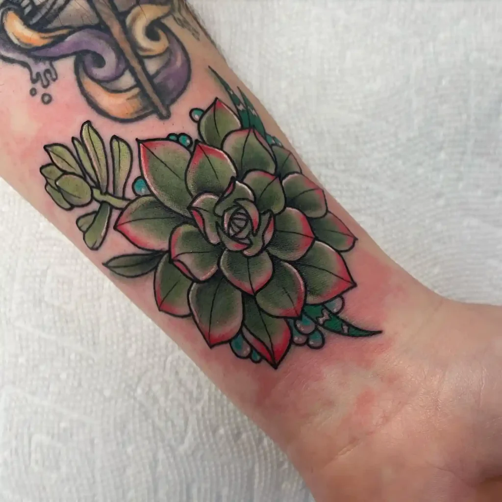 Colorful Echeveria Succulent on Forearm