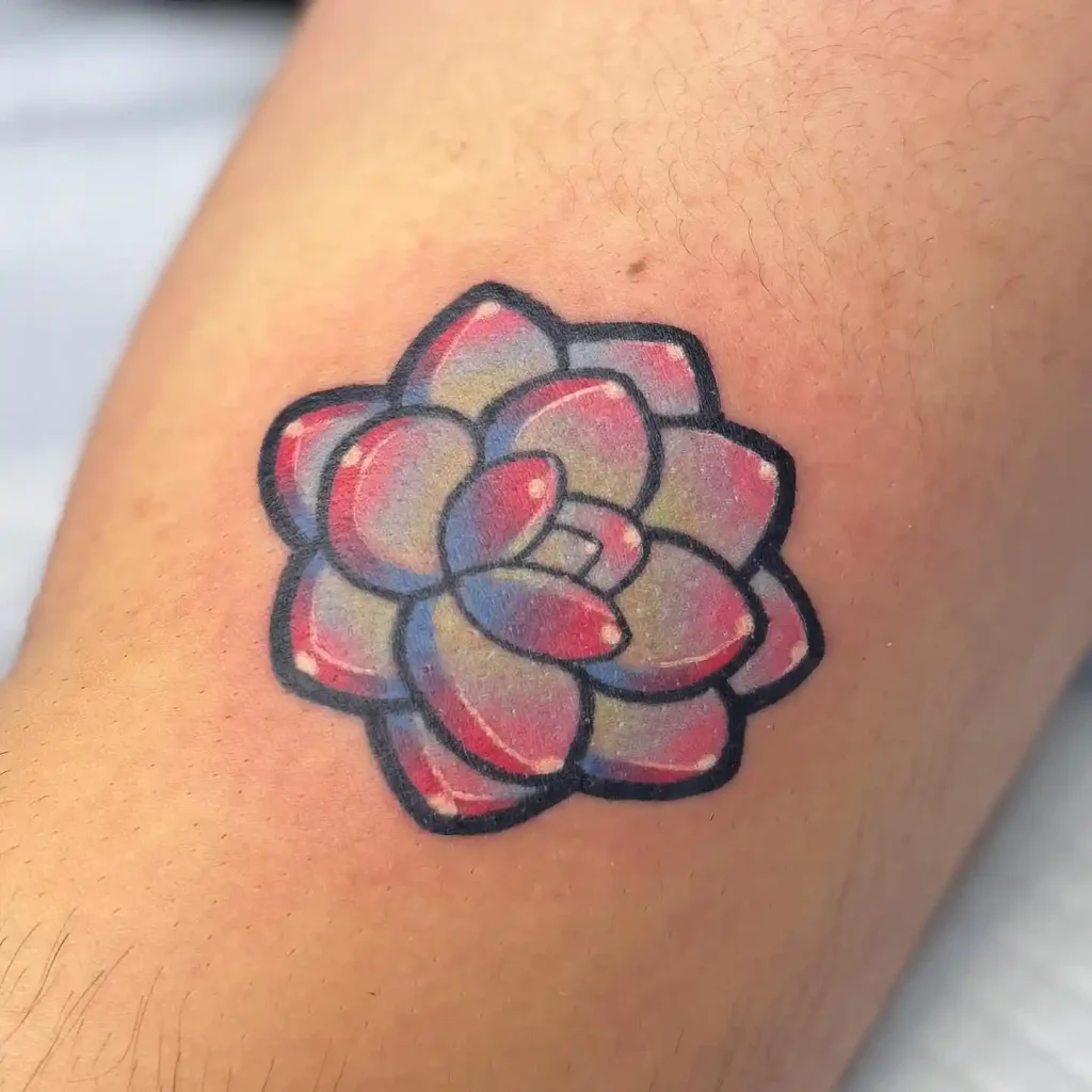 Colorful Echeveria Succulent on Inner Forearm